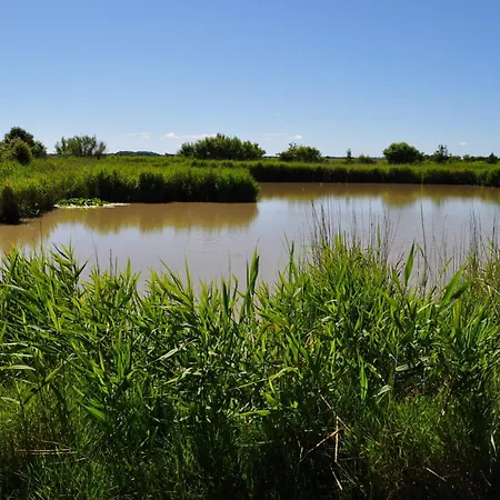 Haus Friesenglueck Silbermoeve *